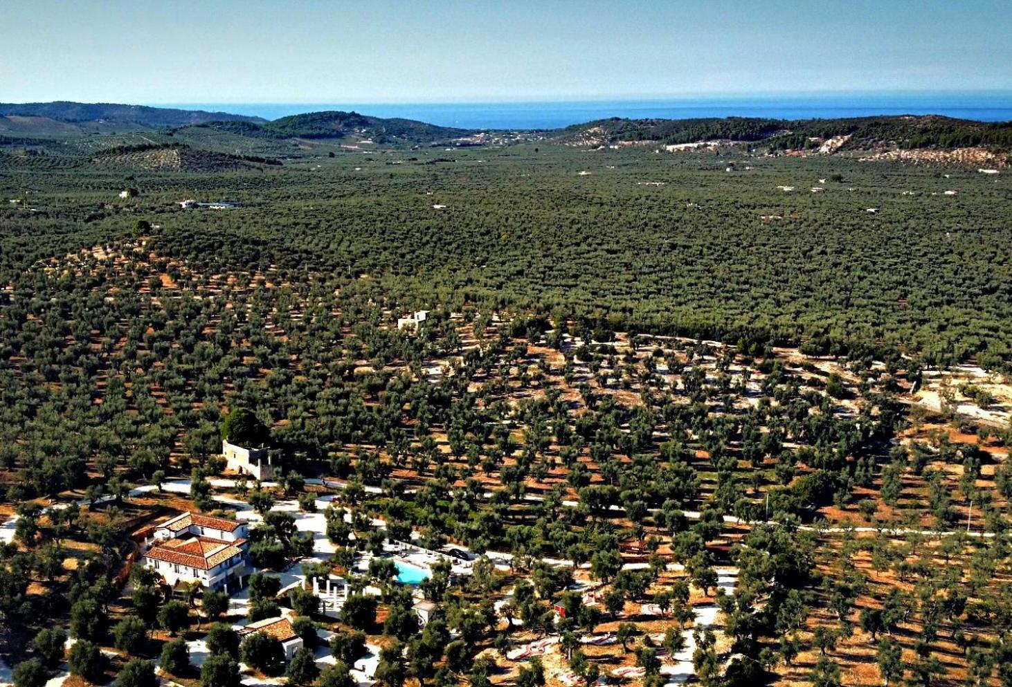 Agricampeggio - Solo Piazzole Vuote - Agriturismo Passione Natura Vieste Ngoại thất bức ảnh