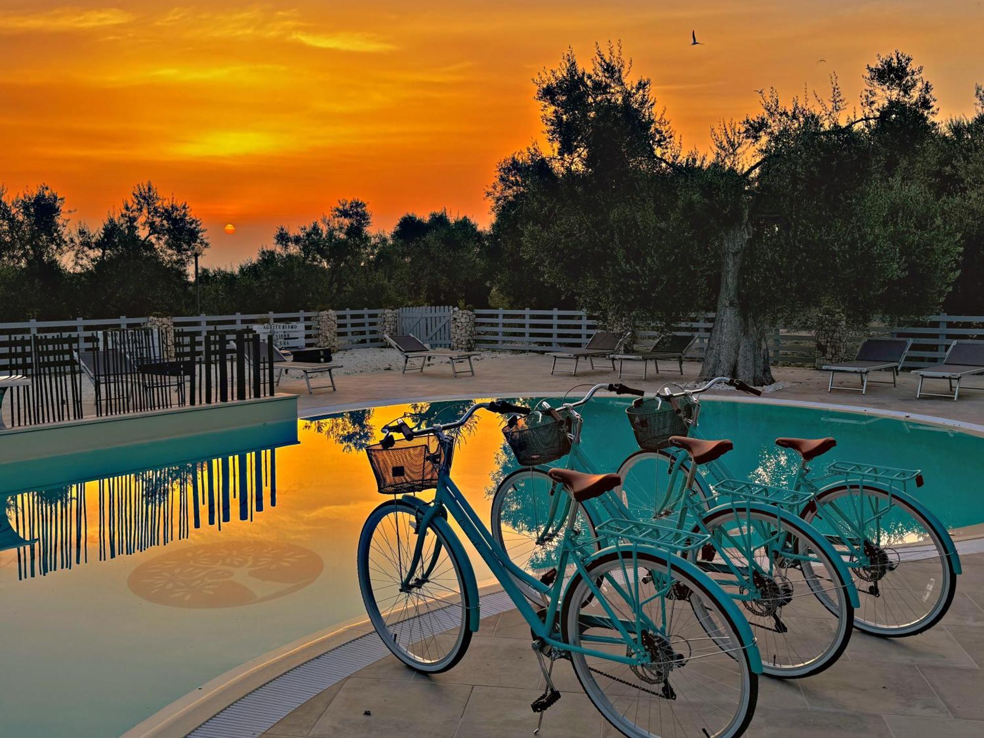 Agricampeggio - Solo Piazzole Vuote - Agriturismo Passione Natura Vieste Ngoại thất bức ảnh